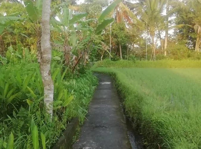 Pondok Tropical 1