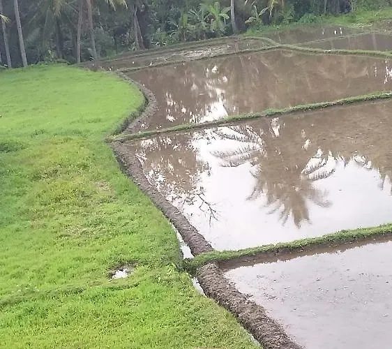 Pondok Tropical 1 ウブド
