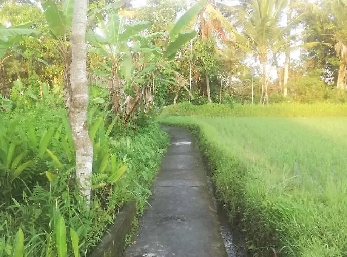 Pondok Tropical 1 ベッド・アンド・ブレックファスト *